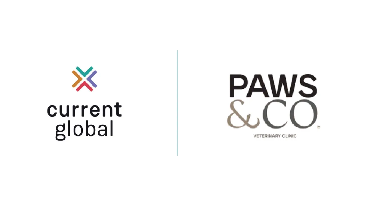 A dog's paw print and a stethoscope, as halftone cutouts, for Current Global winning the Paws & Co account
